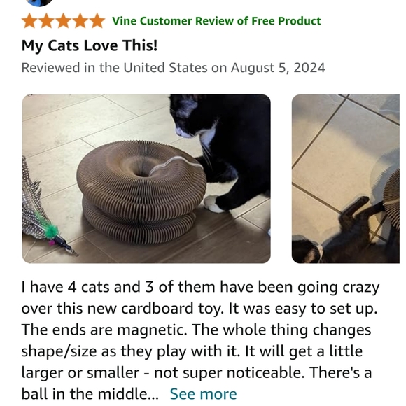 Cat Toy - Picture 7 of 8